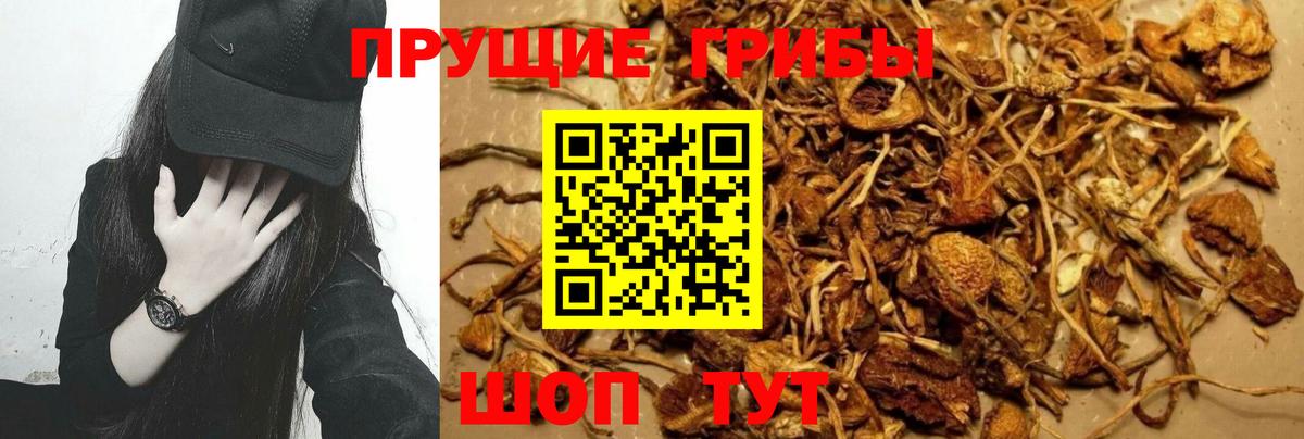 Галлюциногенные грибы GOLDEN TEACHER Жуковский